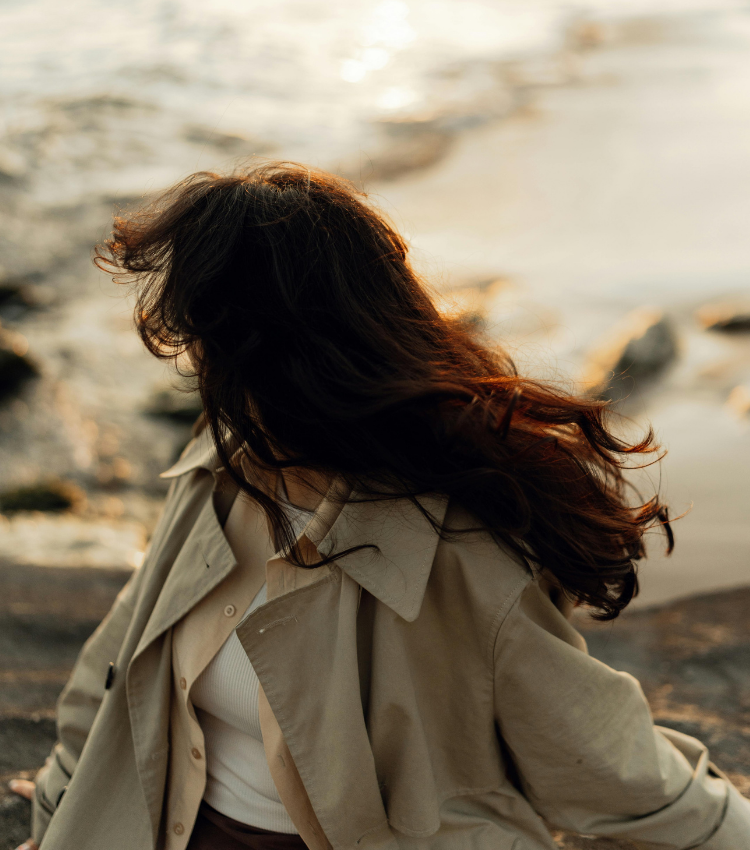 web template market (1)